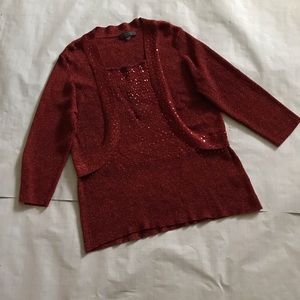 Dress Barn Sequin & Metallic Sweater.